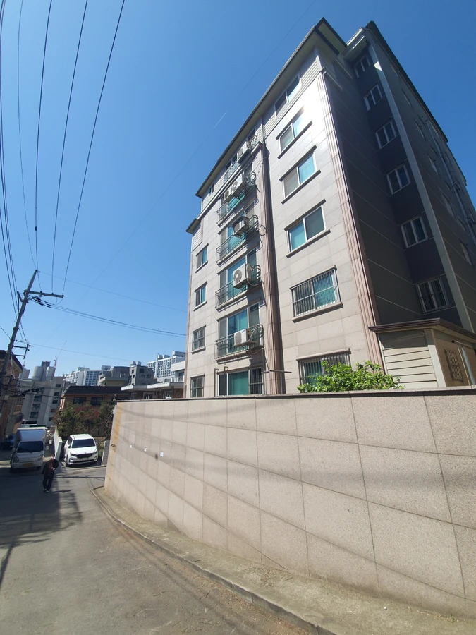 나무벌목 전문 서비스 시공 현장 으뜸종합건설