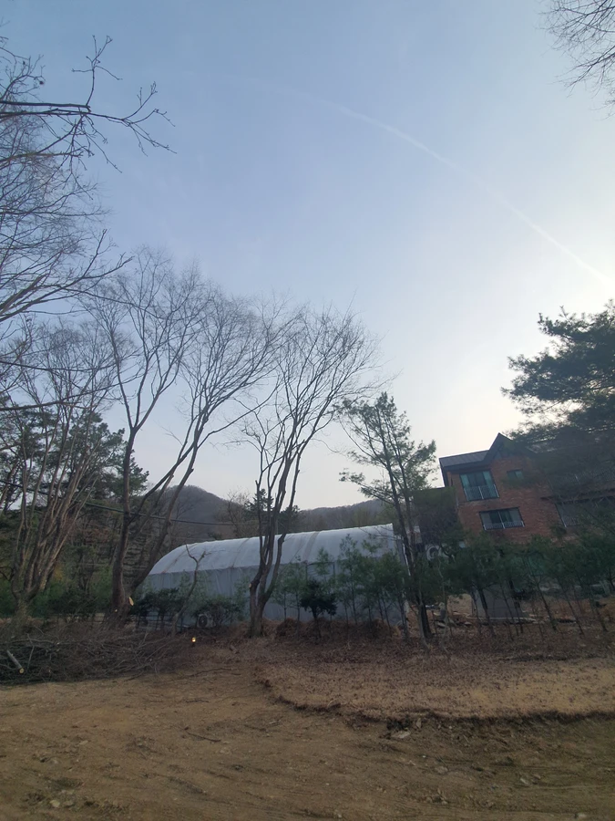 으뜸종합건설 가지치기 정비 시공 후 완료 가로수나무제거