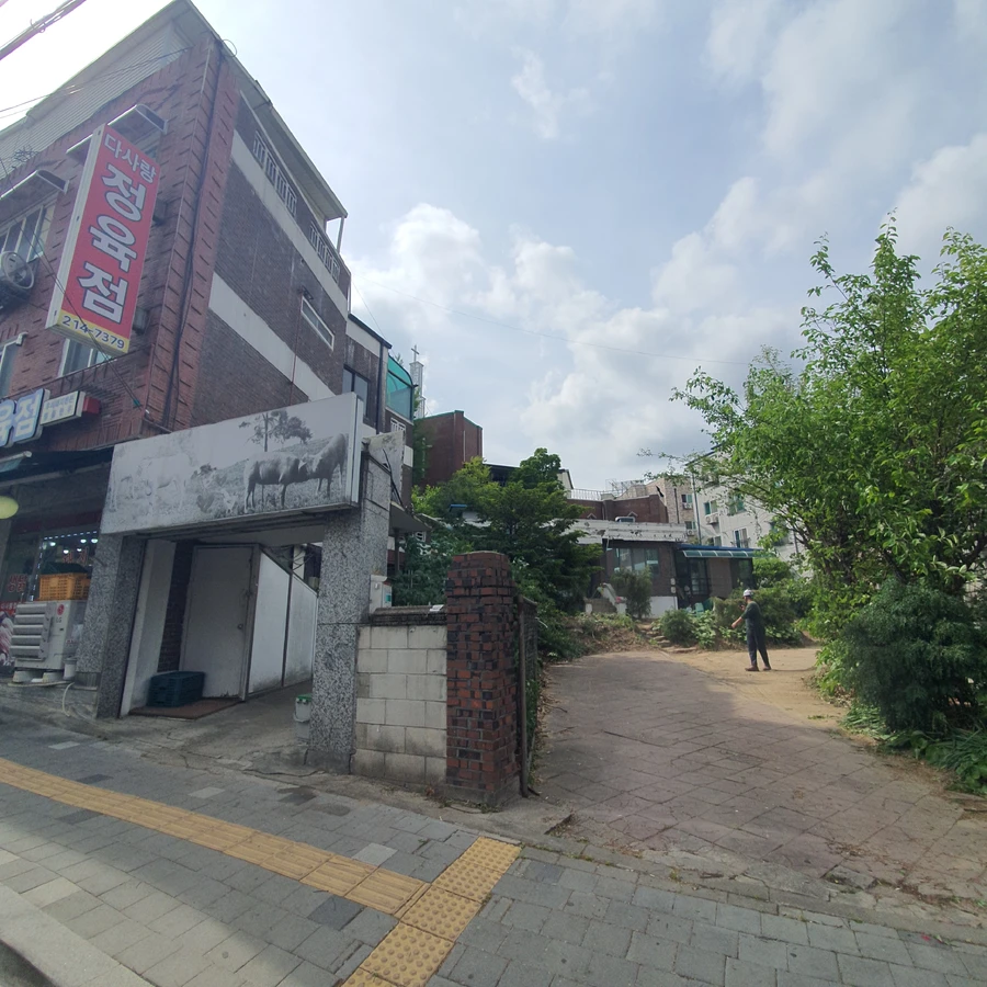 으뜸종합건설 조경수제거 전문 작업 협소 공간 시공 현장 사진 가로수나무제거
