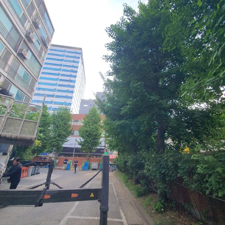 으뜸종합건설 나무벌목 전문 장비 시공 현장 사진 가로수나무제거