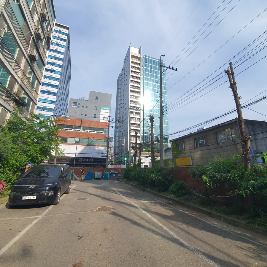 가로수나무제거 대표 서비스 전문 시공 이미지