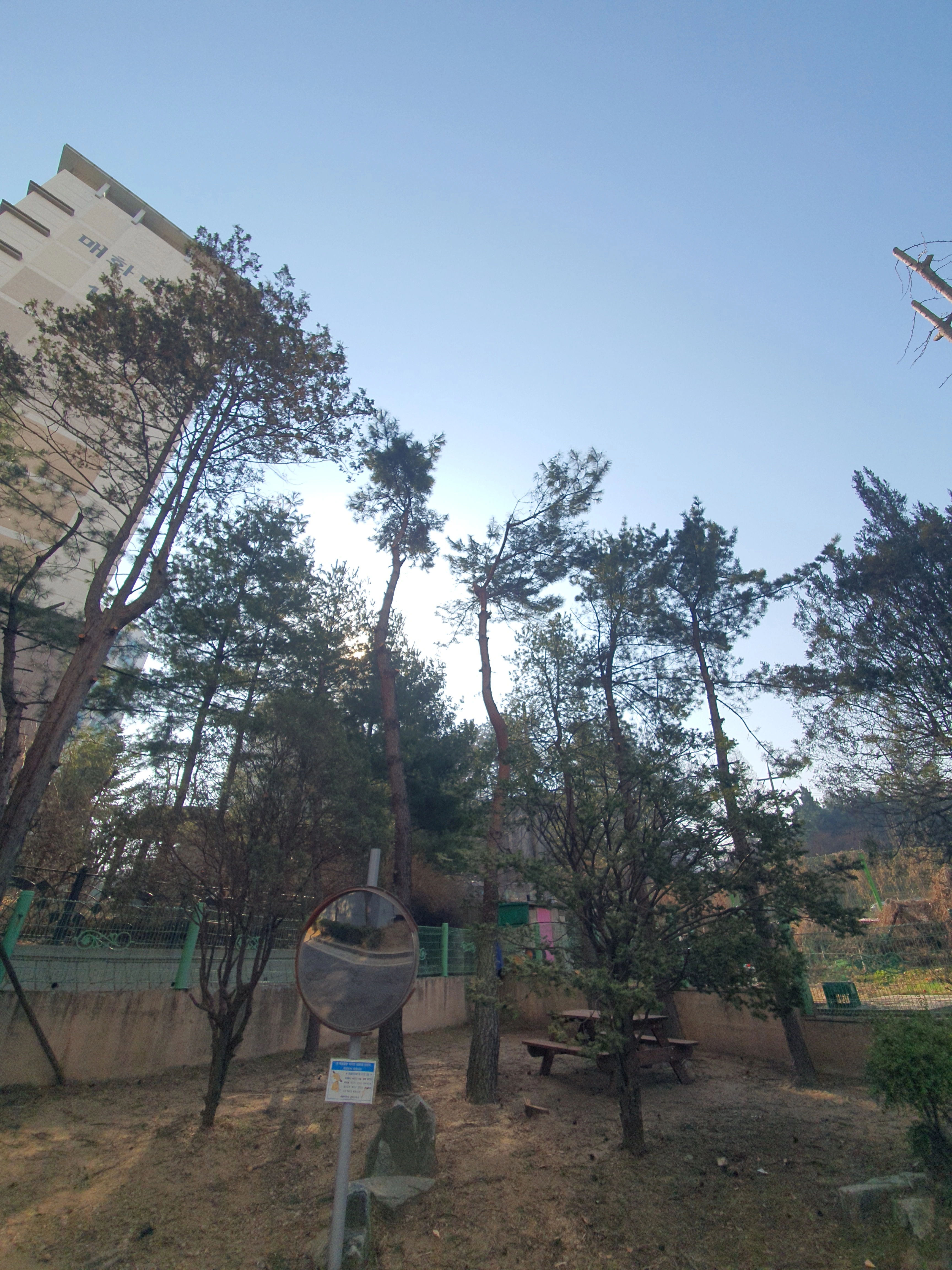 으뜸종합건설 가지치기 전문 수목 관리 현장 가로수나무제거 서비스